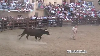 Jose Luis y Capitan en Carcastillo