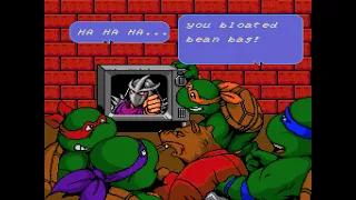 Teenage Mutant Ninja Turtles IV: Turtles in Time - Full Playthrough