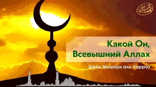 Какой Он, Всевышний Аллах! Шейх Мишари аль-Харраз