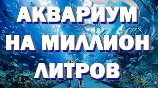 ЕГИПЕТ 2020 Хургада | Гранд Аквариум | экскурсия в Hurghada Grand Aquarium