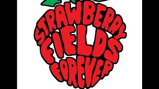 Strawberry Field's Forever 1  (Acoustic BEATLES Cover )