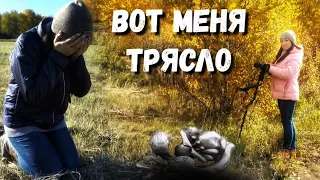 ЭТО ЧТО ТАКОЕ? МЕСТА НЕТРОНУТЫЕ КОПАТЕЛЯМИ.