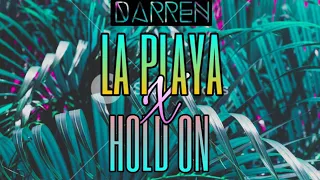 Playa (Big frankii & Natty Gong) X hold on (Skydah) - DJ DARREN