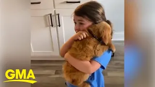 Emotional 3-year-old has adorable reaction to seeing puppy l  GMA