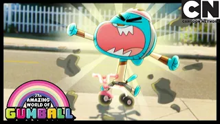 Darwin Finds A New Best Friend | The Third | Gumball | Cartoon Network