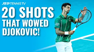 20 Tennis Shots So Good They Made Novak Djokovic Applaud 👏