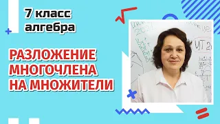 Разложение многочлена на множители. 7 класс .