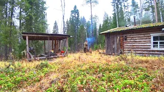 Таёжный быт у избы. Чердак в избе. Вечерняя охота. Ночёвка в избе 3 серия //ВТОРАЯ ИЗБА ОСЕНЬ 2022//