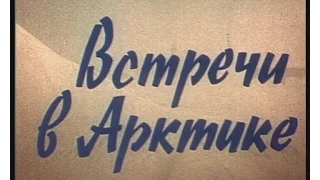 ВСТРЕЧИ В АРКТИКЕ