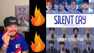 STRAY KIDS - "Silent Cry" & " 좋아해서 미안" ( Sorry, I Love You) Video Reaction!