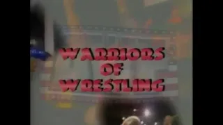 AWF American Wrestling Federation 3/25/95