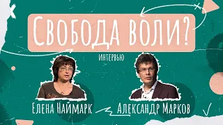 Свобода воли не нужна? ❘ Елена Наймарк и Александр Марков [Vert Dider]