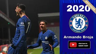 Armando Broja 2020 - Young Talent / Best Goals, Skills & Speed 🔵