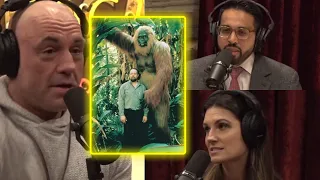 this is why BIGFOOT is real?!!? Joe Rogan explains