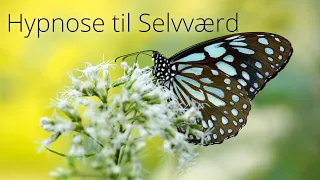 Gratis Hypnose Selvværd - Livsfundamentet