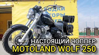 Обзор на настоящий чоппер MOTOLAND WOLF 250 от X-MOTORS