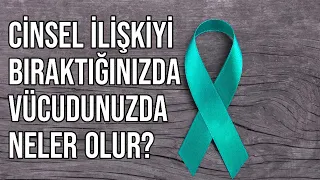 Cinsel İlişkiyi Bıraktığınızda Vücudunuzda Neler Olur?