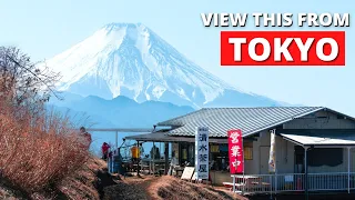 Tokyo's Countryside - Excellent Hiking Day Trip at Mt Jinba, Tokyo (Better than Takao!)