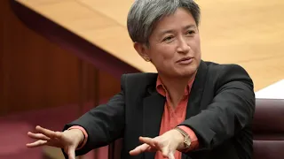 ‘Peak parody’: Penny Wong’s ironic plea to Iraq