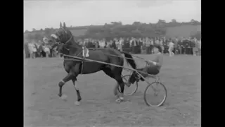 All Ireland Sulky Race, Ballineen, Co. Cork, Ireland 1973