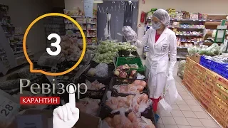 Ревизор. Карантин – Выпуск 3 от 30.04.2020