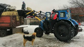 Сільське хазяйство, Трактора Т-40АМ,ЮМЗ-6, Корови страйкують...