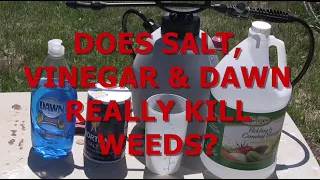 DOES DAWN, VINEGAR & SALT REALLY KILL WEEDS