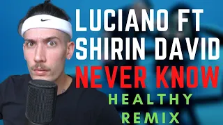 LUCIANO feat SHIRIN DAVID - NEVER KNOW (OFFICIAL HEALTHY REMIX)