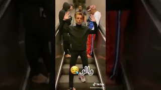 ماشافوهاش