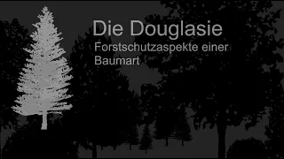 Die Douglasie - Forstschutzaspekte einer Baumart