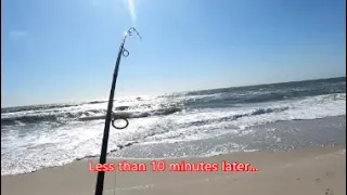 INSANE Surf Fishing - 2 Big Fish Back To Back!  Ocean City MD & Assateague Island #ocmd  #fishing