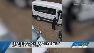 'Insane!' North Carolina family captures bear encounter during Tennessee vacation