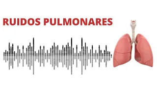 AUSCULTACIÓN PULMONAR: ruidos normales y anormales