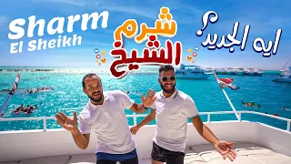 حاجات أول مره هتشوفها فى شرم الشيخ 💞 Sharm El Sheikh 💙