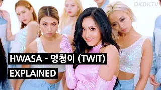 HWASA - 멍청이 (TWIT) Explained by a Korean