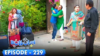 Bulbulay Season 2 Episode 229 | Ayesha Omar & Nabeel