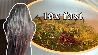 The Best Kept Secret to Growing Long Healthy Hair FAST | Rosemary & Clove hair spray