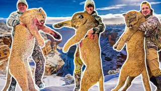 Our Best Hunts EVER? - The TOP 3 MOUNTAIN LIONS from last year!