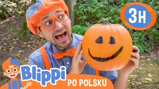Blippi odwiedza dyniowy park | Blippi po polsku | Nauka i zabawa dla dzieci