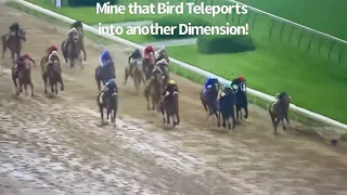 50-1 Odds Mine that bird teleports Into another dimension￼ Kentucky derby 2009￼