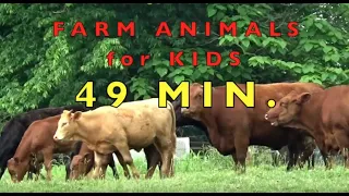 FARM ANIMALS for KIDS   -  Learn NAMES & SOUNDS - EDUCATIONAL KID VIDEO