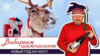 Новый год и шампанское! Как выбрать игристое вино к новогоднему столу. Встречаем Новый год правильно