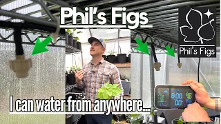 Irrigating My Fig Trees and Greenhouse Fig Propagation with RainPoint Irrigation