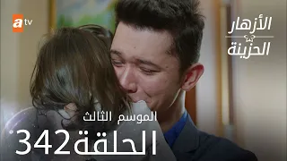 مسلسل الأزهار الحزينة | الحلقة 342 - الموسم الثالث