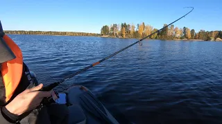 Рыбалка на Вуоксе осень 2023 - полное ФИАСКО 😣/ Fishing on Vuoksa #shorts  #fishing #рыбалка