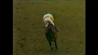 1985 Grand National Handicap Chase Aintree