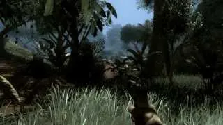 Alienware 14 - Far Cry 2