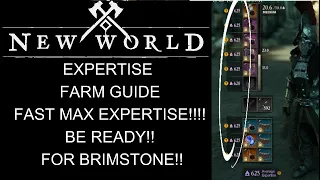 New World GETTING GEARSCORE HAS NEVER BEEN SO EASY!!! Fastest Expertise Farm Methods !!!