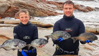 Ep 39 - Spearfishing Jacobsbaai | 1000 Subscribers | Weskus Fishing