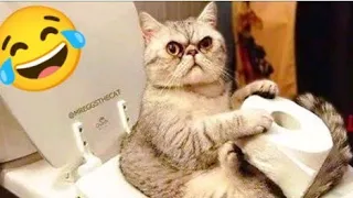 Funny 🤣 Cats And Dogs 🐕 Videos Compilation 😂 | Funniest Animals 🥰 Videos part 2 | Aww Animals